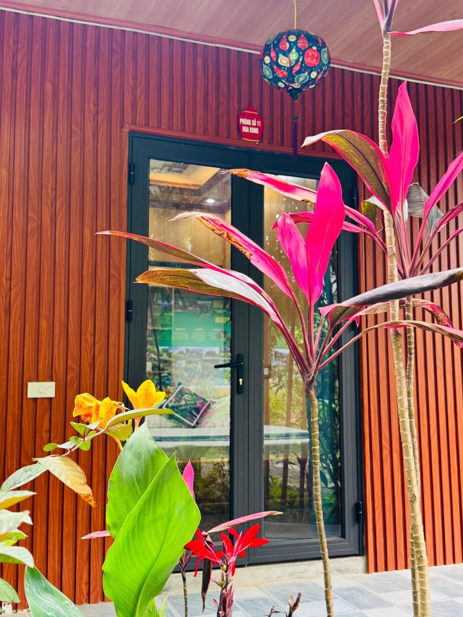 Green Valley Homestay - Thung Lung Xanh Nguyen Ngoai Bagian luar foto