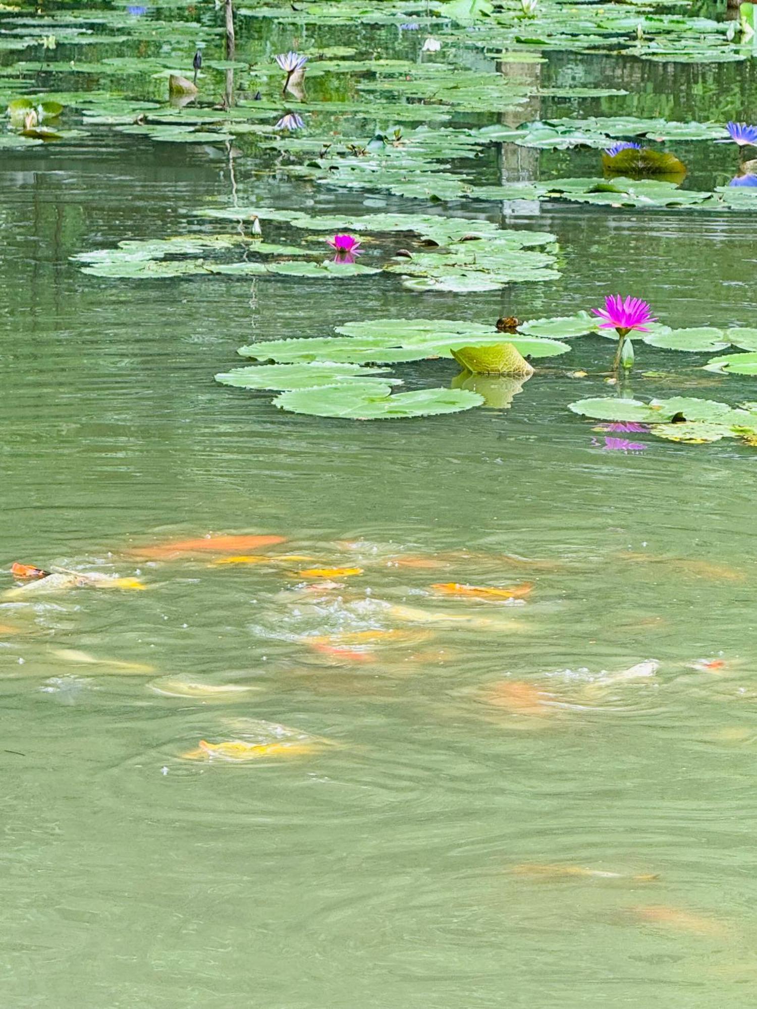Green Valley Homestay - Thung Lung Xanh Nguyen Ngoai Bagian luar foto